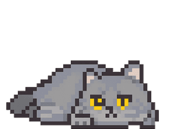 富山県南砺市井波の古着・セレクトショップ 85-Store（ハコストア）