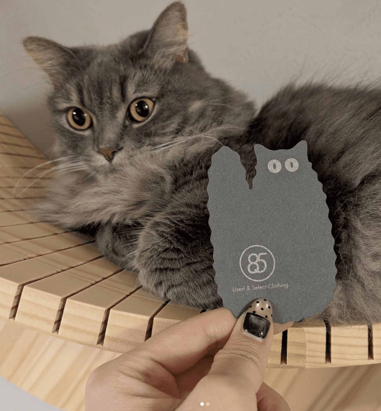 ショップカード+イベントの感想